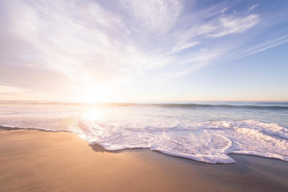 The Herald: Irvine Beach is known for being clean and large with plenty of whale and dolphin activity (Canva)