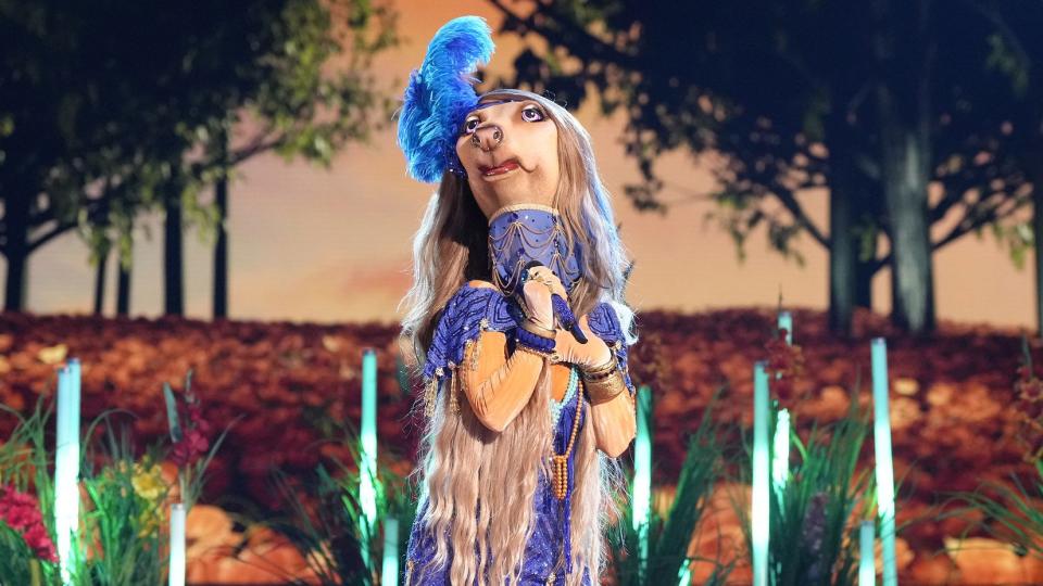 THE MASKED SINGER: Afghan Hound on THE MASKED SINGER "Wizard of Oz Night" episode airing Wednesday, March 13 (8:00-9:00 PM ET/PT) on FOX. CR: Michael Becker / FOX. ©2024 FOX Media LLC.