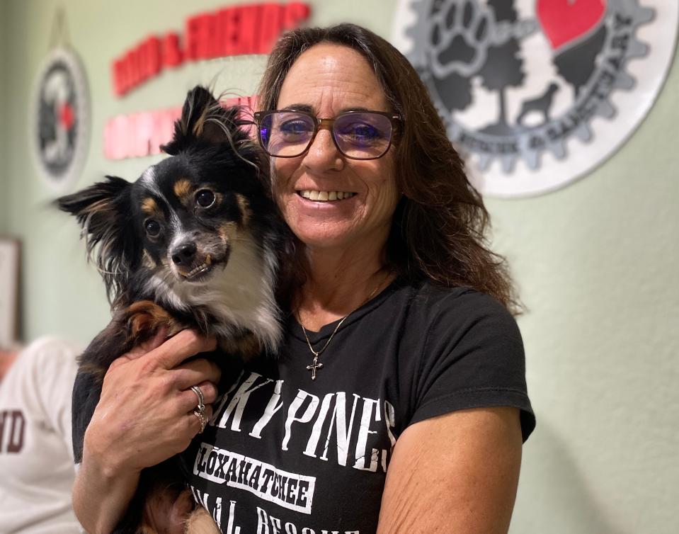 Elizabeth Accomando, owner of Barkey Pines Animal Rescue and Sanctuary, took in Mr. Bean last year after he was in the county's shelter.