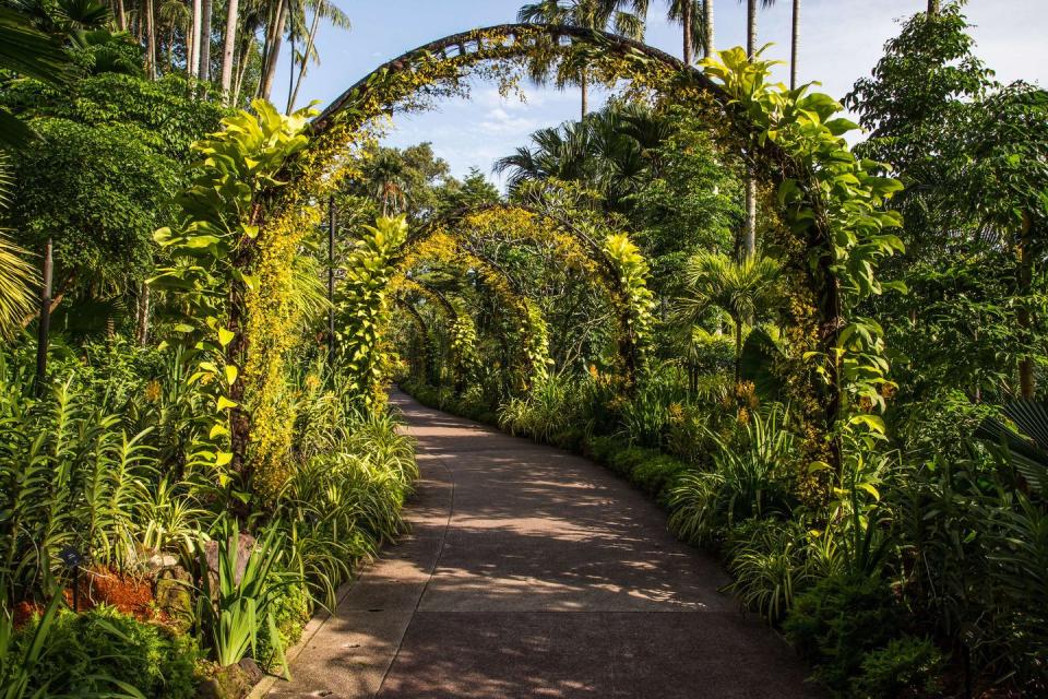 The Singapore Botanic Gardens in Singapore