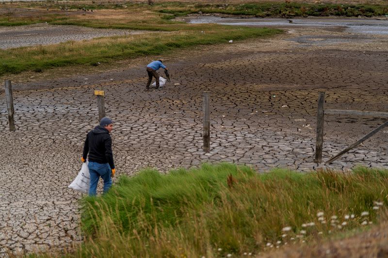 Personas limpian un terreno que se seca en Punta Arenas, Chile