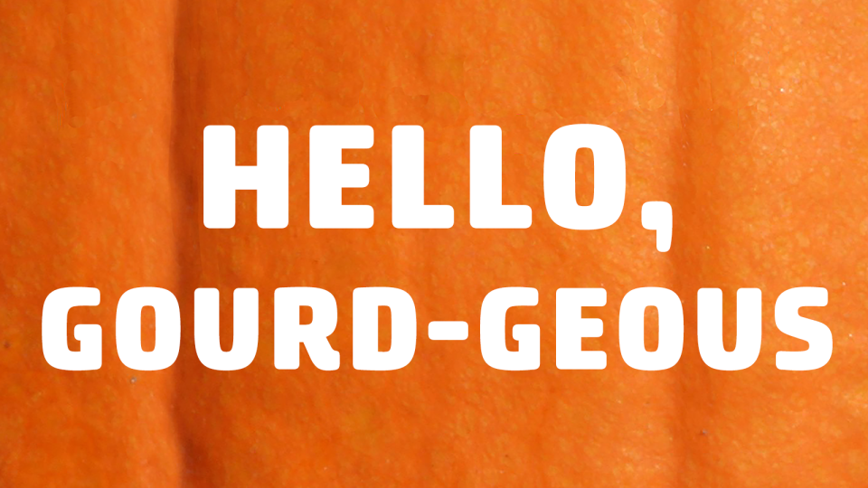 pumpkin puns hello gourd-geous