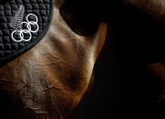 <p>Veins are seen on the horse Clifton Promise while mounted by New Zealand rider Jonathan Paget during training for the equestrian eventing competition in Greenwich Park at the 2012 Summer Olympics, July 25, 2012, in London. (AP Photo/David Goldman) </p>