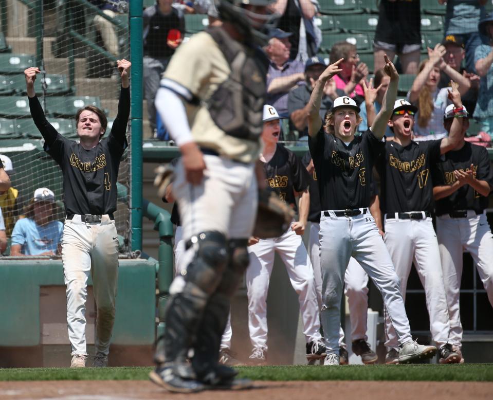 The HF-L dugout celebrates as Carson Joint scores in the fifth inning.