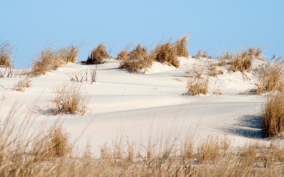 Maryland — Assateague State Park