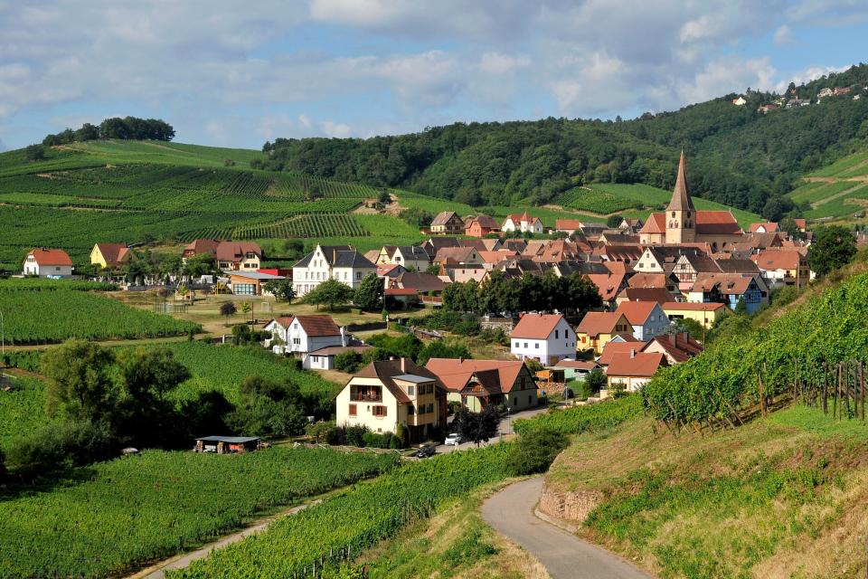 The Alsace region of France, where Breitwieser grew up, sits in the northeastern corner of the country,  along the borders of Germany and Switzerland.