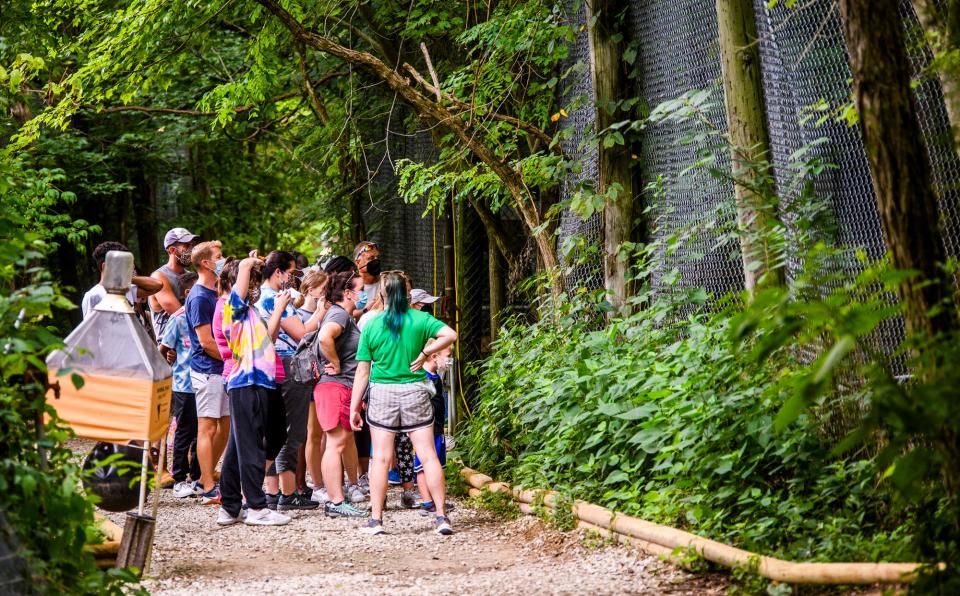 A group tour at the Exotic Feline Rescue Center on Friday, July 15, 2022.