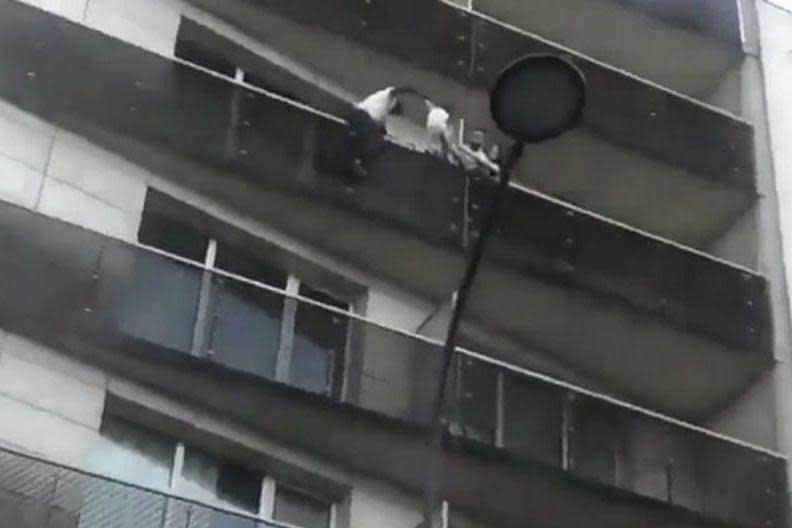 The four-year-old child was seen dangling from the fourth-floor of his apartment building in May: @FredBC77