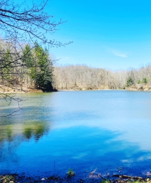 A view of Strahl Lake in Brown County State Park from the shore.