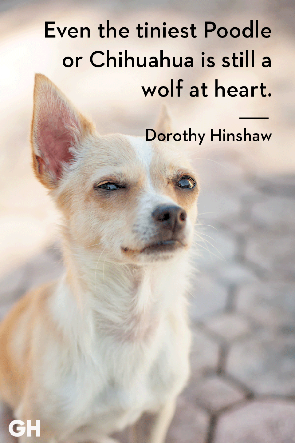 Dorothy Hinshaw