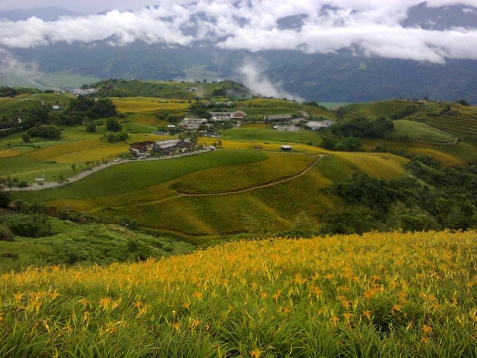 六十石山金針花海。（中華旅行社提供）