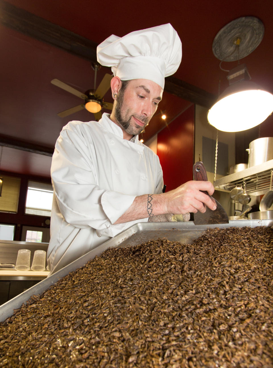 A chef at Entomo Farms prepares a batch of crickets for his next recipe. (Photo: Stewart Stick)