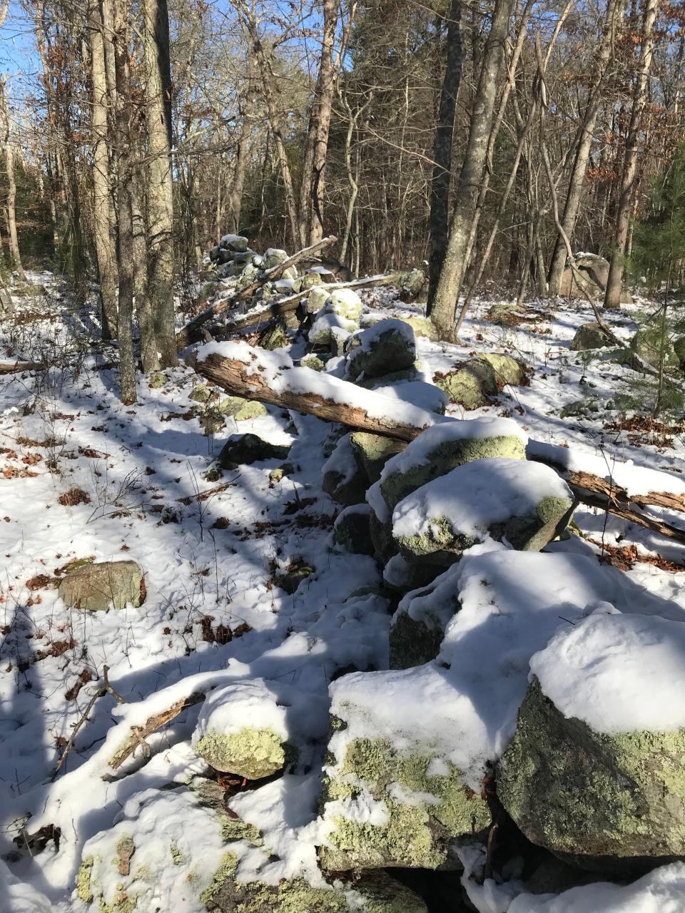 A snow-covered stone wall marks the eastern border of Tucker Woods Preserve.