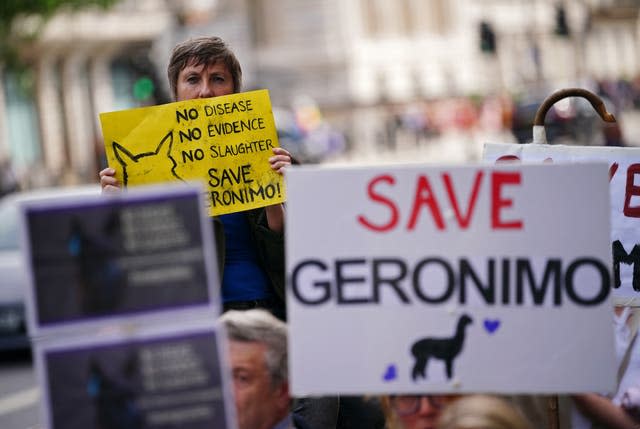 Demonstrators outside Downing Street had campaigned against the decision to put down Geronimo