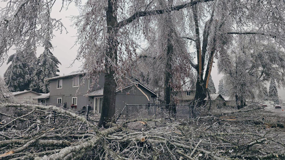 Fallen branches and ice covered trees are seen on Tuesday, Jan. 16, 2024, in Creswell, Ore. Winter turned its icy glare on the U.S. this week, blanketing cities and states from east to west with snow and sending temperatures into an Arctic spiral. (Jamie Kenworthy via AP)