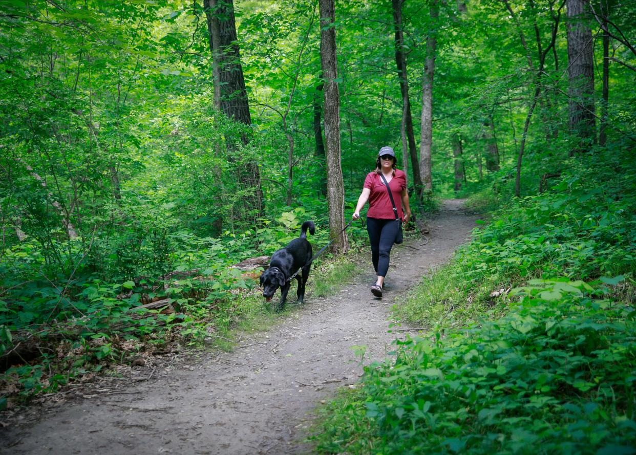 Des Moines Register journalist Lee Rood walks Molly Beans, her 1.5-year-old husky/lab mix, along a trail at the Greenwood Ashworth Park behind the Ashworth Pool in Des Moines on Wednesday, June 8, 2022. Greenwood Ashworth Park is located just north of Water Works Park.