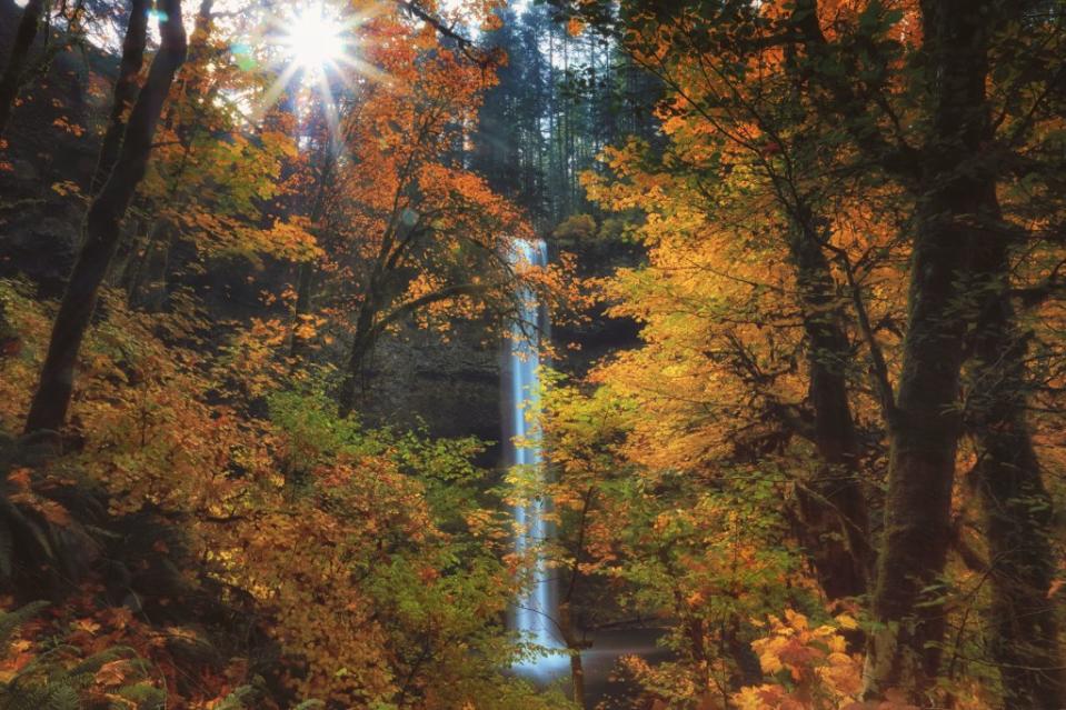 The South Falls, located in Silver Falls State Park, stands in the midst of yellow leaves via Getty Images