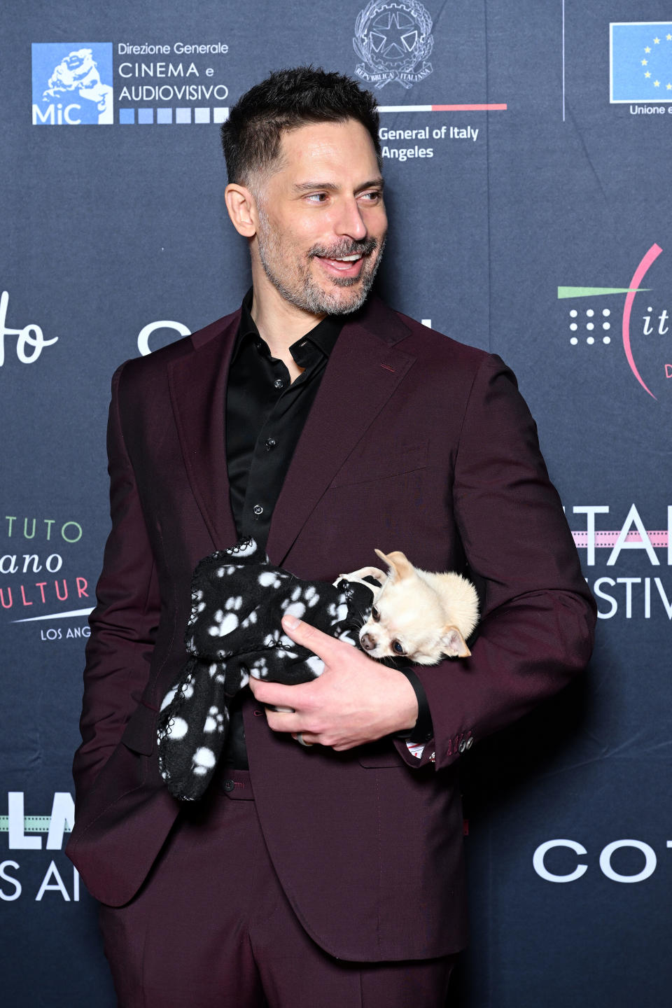 Joe en costume bordeaux sur le tapis rouge tout en tenant un petit chien dans un bras