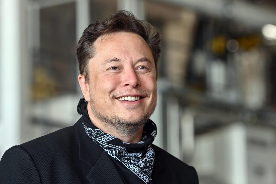 Tesla-Chef und Twitter-Eigner Elon Musk.  - Copyright: Getty Images