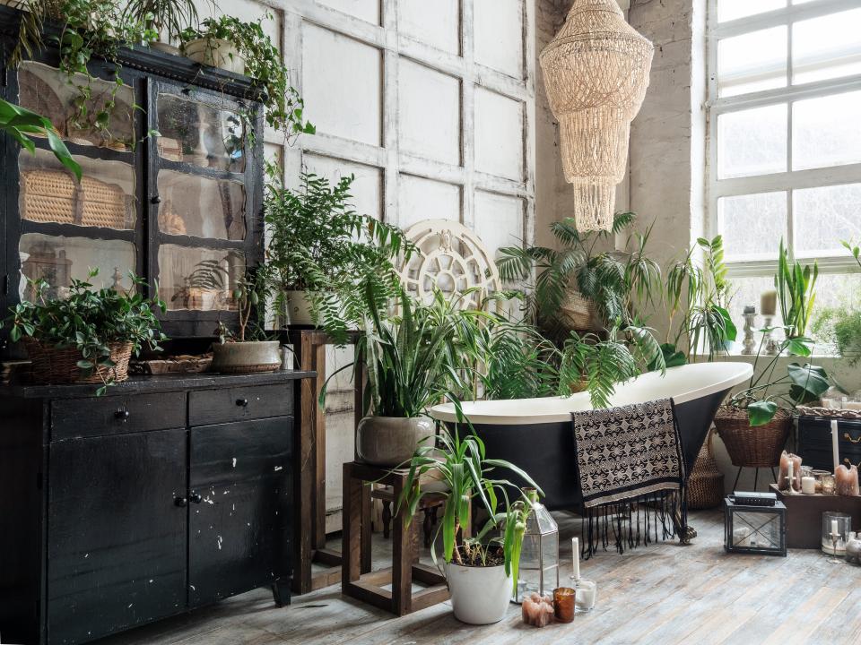 Bathroom with lots of windows full of plants