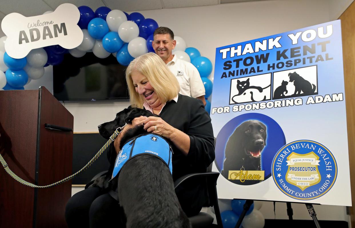 Summit County Prosecutor Sherri Bevan Walsh hugs her office's new facility dog, Adam, during his introductory press conference, Wednesday in Akron. Adam's primary job is to provide emotional support to children who are victims or witnesses to crimes when they come to the courthouse or prosecutors office.