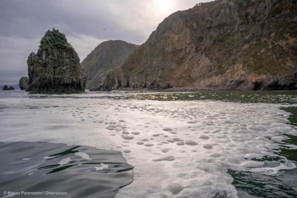 Pictured is the foam on the water, which has been observed in the Kamchatka region as a result of pollution from an unknown cause