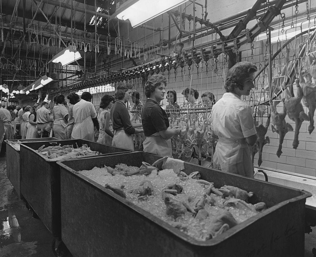 Women working in a poultry processing plant circa 1963