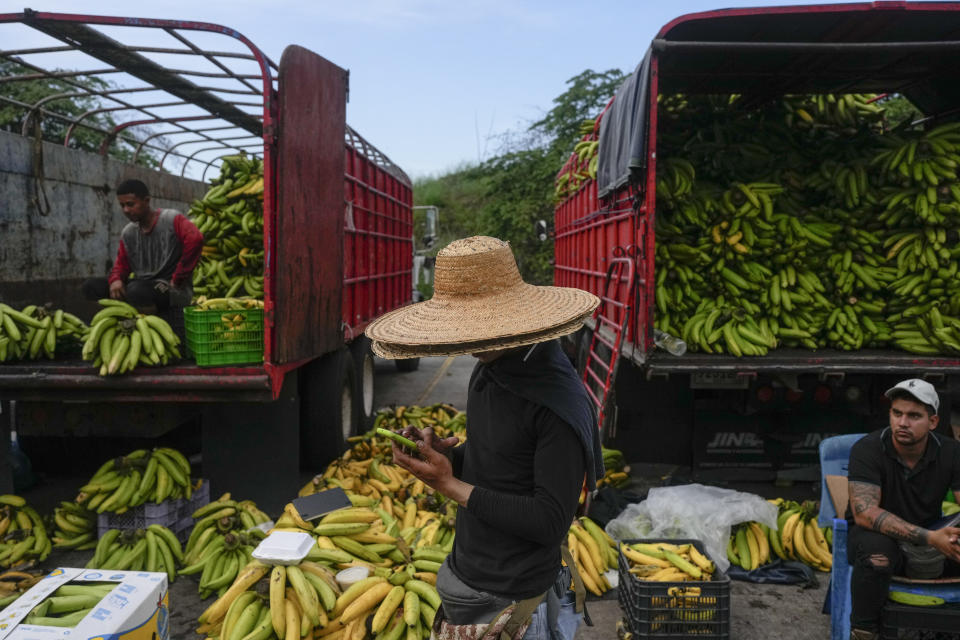 Los plátanos están a la venta en el mercado mayorista Merca Panamá en la Ciudad de Panamá, el martes 30 de abril de 2024. (Foto AP/Matías Delacroix)