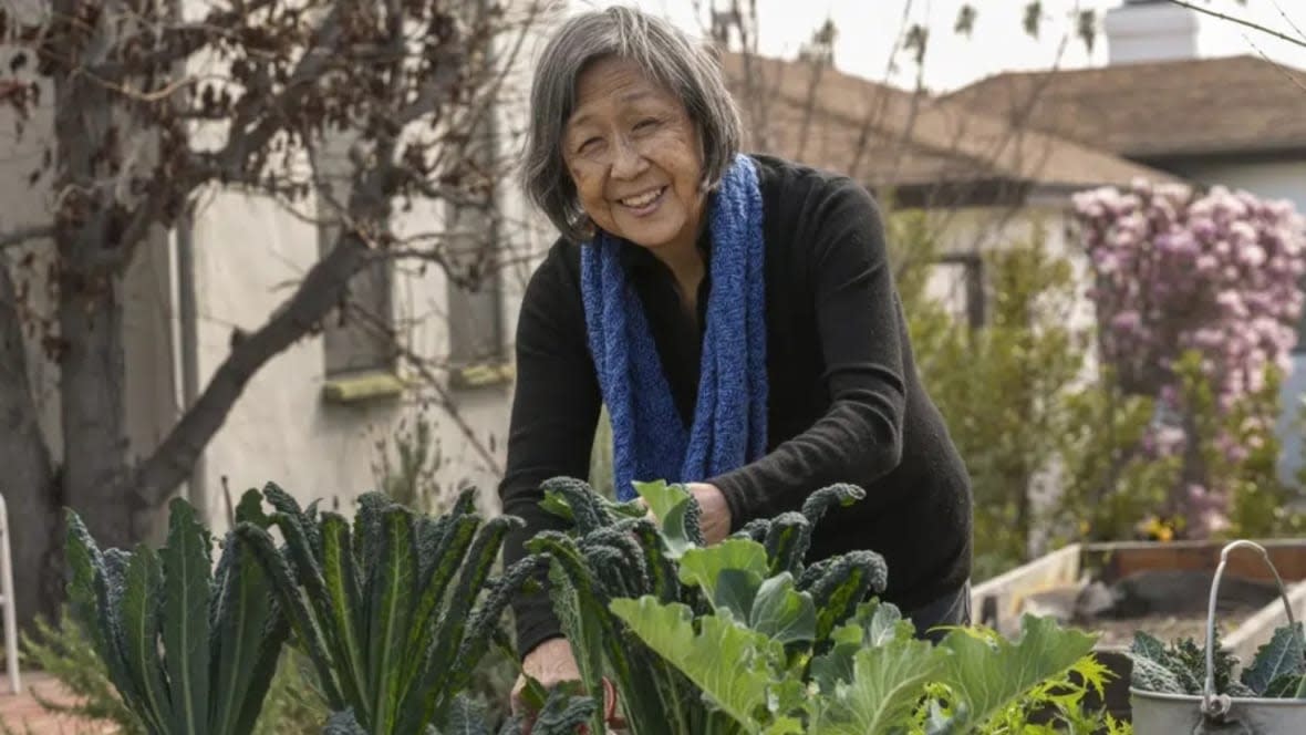 Kathy Masaoka works on her vegetable garden outside her home in Los Angeles. Masaoka, who testified in 1981 for Japanese American redress and in 2021 in favor of federal reparations legislation, says Japanese Americans are just beginning to educate their own community about Black history and anti-Black prejudice. (Photo: Damian Dovarganes/AP)