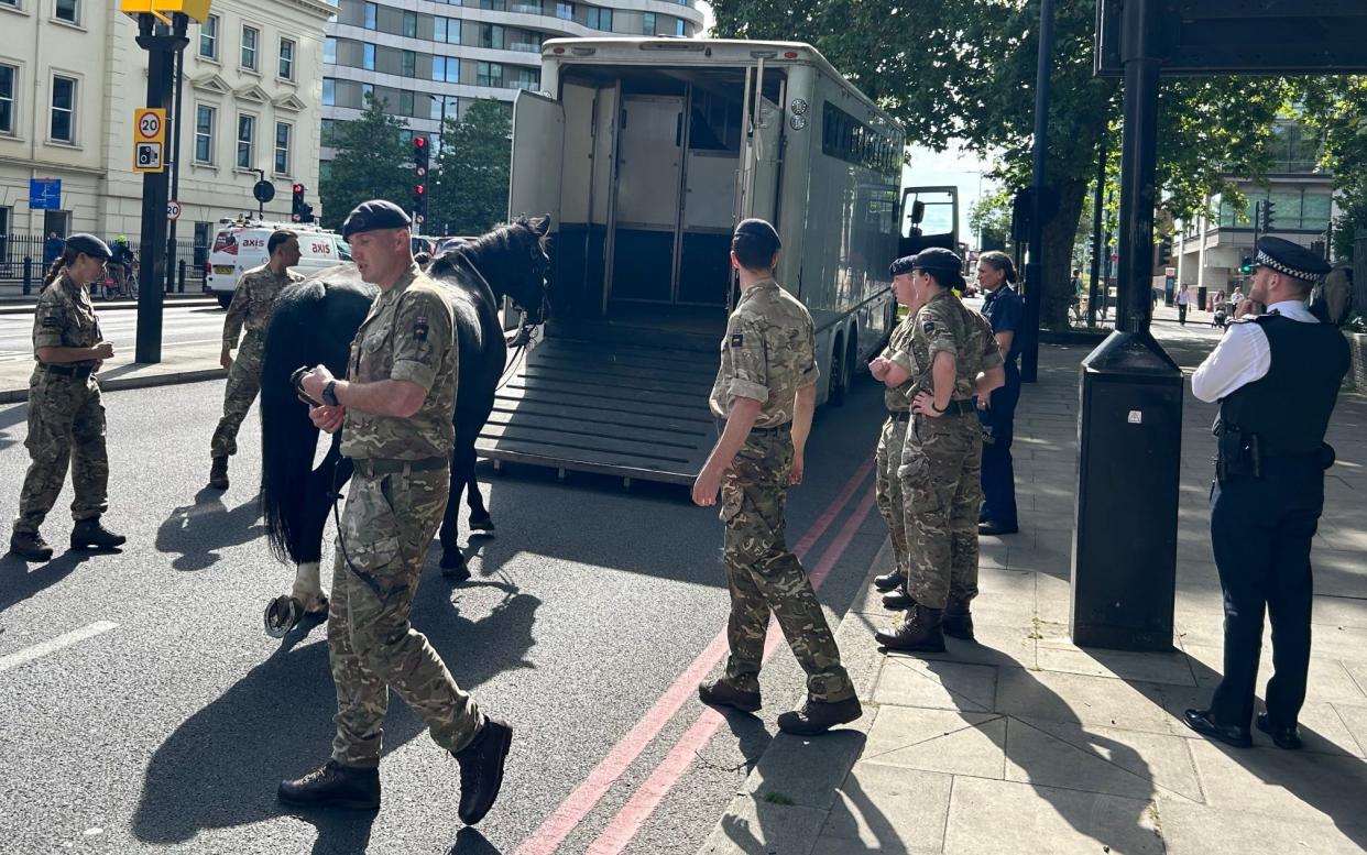 One of the horses is helped into a horse box following its escape