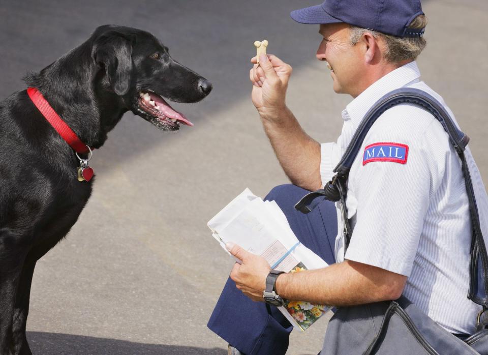 <p>While this might seem like a nice way to keep mail carrier-canine conflict to a minimum, it <a href="https://www.reddit.com/r/IAmA/comments/2chwvo/iama_usps_letter_carrier_in_minnesota_ama/cjg1xgw/" rel="nofollow noopener" target="_blank" data-ylk="slk:could;elm:context_link;itc:0;sec:content-canvas" class="link ">could</a> condition dogs to expect treats and be even more aggressive towards strangers who don't give them one.</p>
