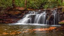 <p>Oakland hosts popular festivals in all four seasons. Stop by Winterfest to see marvelous ice sculptures, or witness the beauty of changing leaves during the annual Autumn Glory festival in the fall.</p>