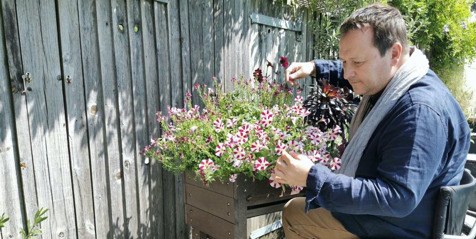 mark lane gardening