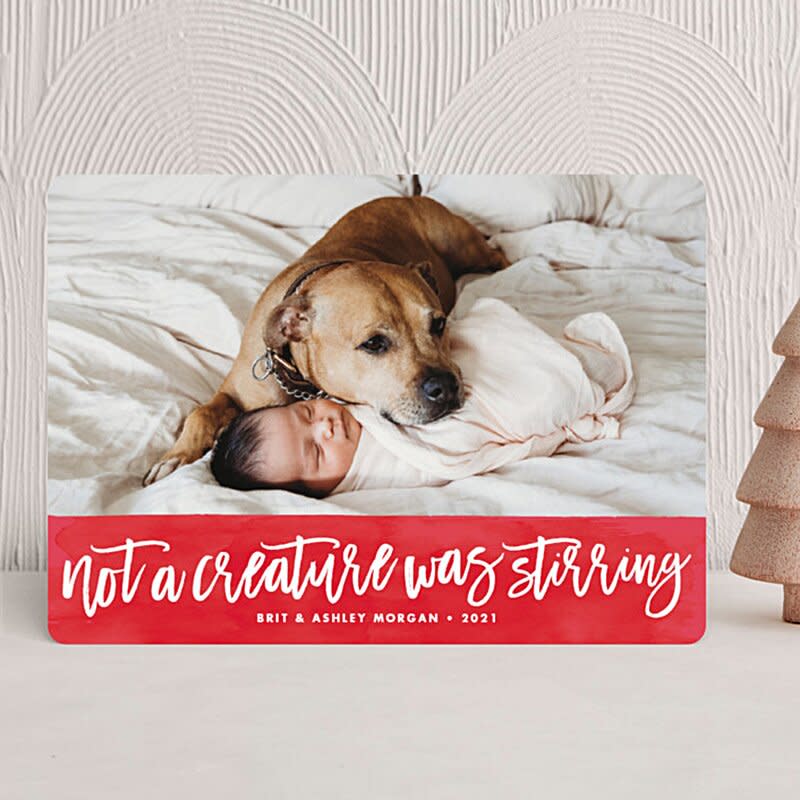 Product photo of a Minted Not a Creature was Stirring Customizable Card