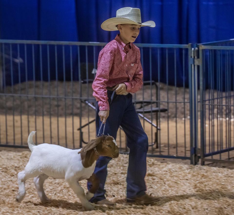 Bennett Gladle of Texas participates in the Boer Goat Show on the first day of the combined Wilson County Fair and Tennessee State Fair in Lebanon Thursday, August 12, 2021. 