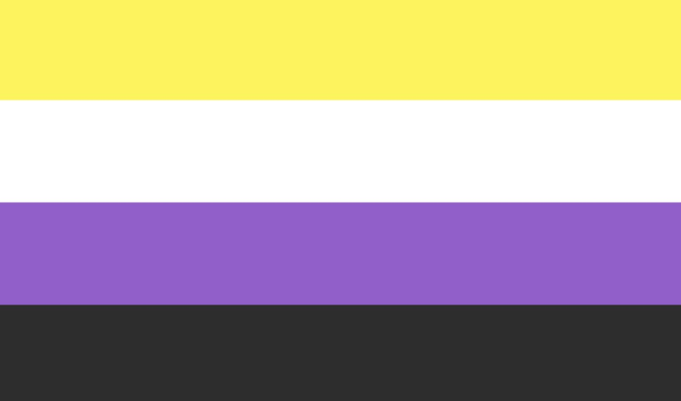 19) Non-Binary Flag