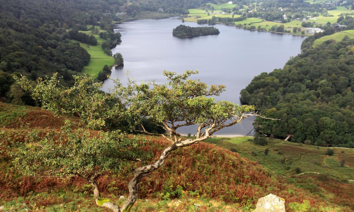 <span>The view over Grasmere in the Lake District. Steve Reed says protecting the natural environment is a top priority.</span><span>Photograph: Dave Porter/Alamy</span>