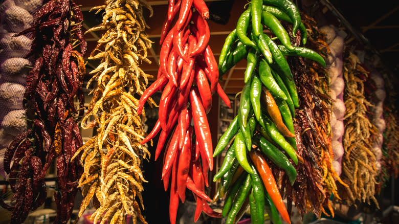 Colorful hanging dried peppers 