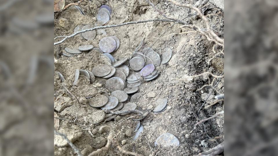 Here we see about 30-plus round silver coins half buried in the dirt.