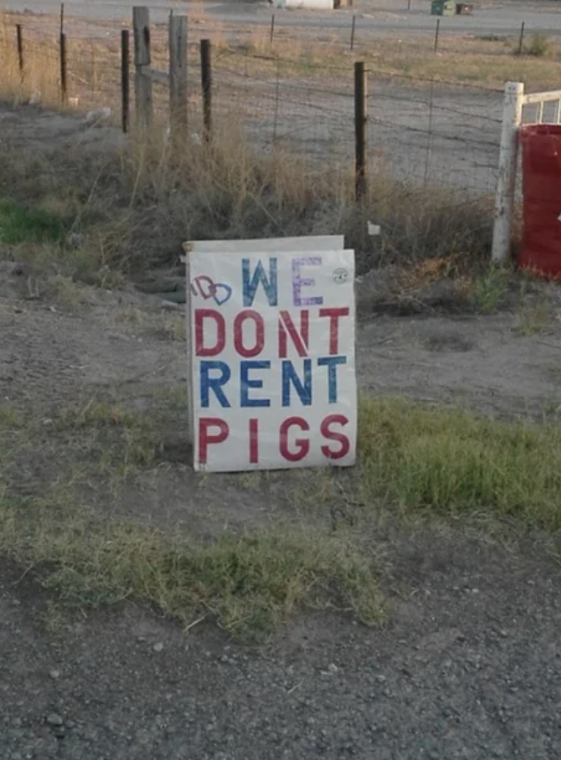 "We don't rent pigs"