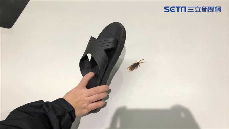 環境部呼籲，千萬別用拖鞋打蟑螂，可考慮使用噴霧劑、凝膠餌劑。（示意圖／資料照）