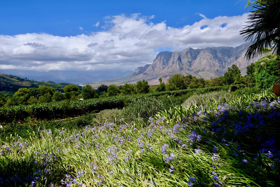 Scenic view of grassy field and mountains against sky.