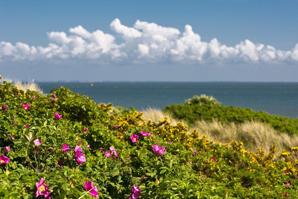 A weekend guide to Sylt, the shrinking island to the north of Germany.