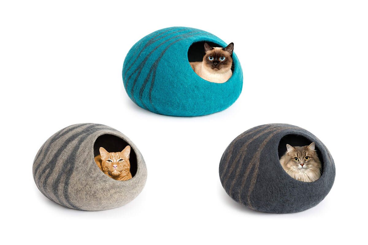 cat bed