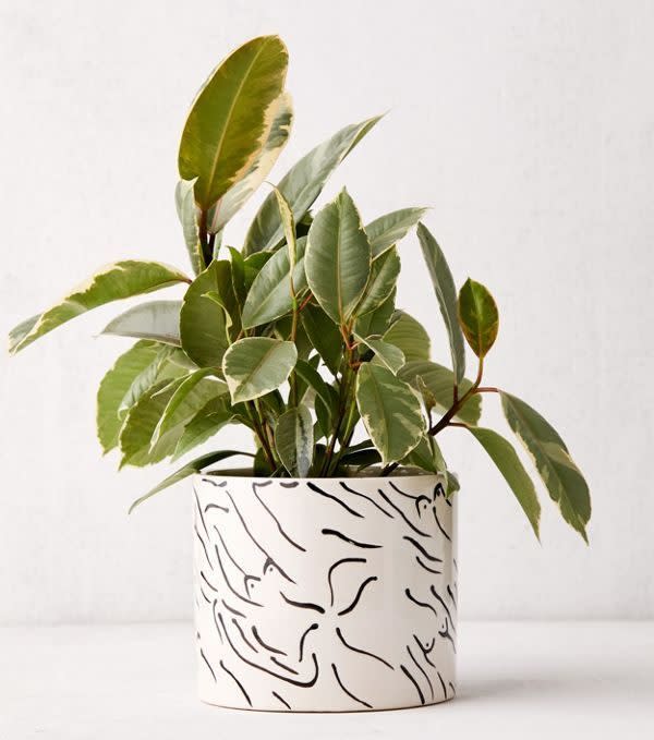 STYLECASTER | Cute Planters