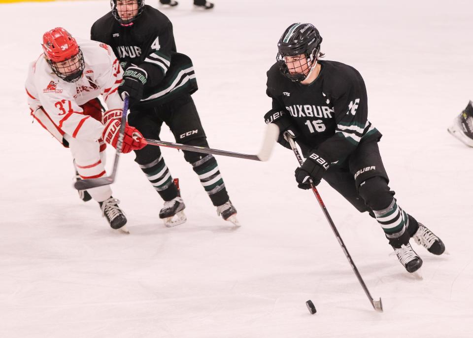 Duxbury's Michael Hussey handles the puck during a game against Hingham at Pilgrim Skating Arena in Hingham on Monday, January 29, 2024.