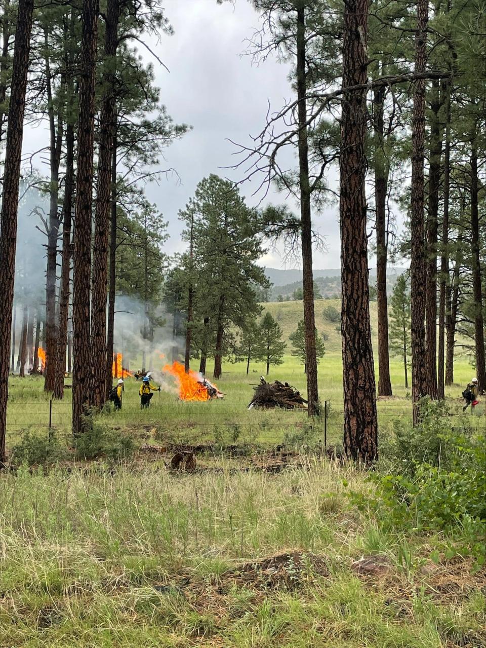 Wilderness Ranger District crews continue with prescribed fire pile burning July 20, 2023 near the Gattons Park community along Highway 35 in the Gila National Forest.