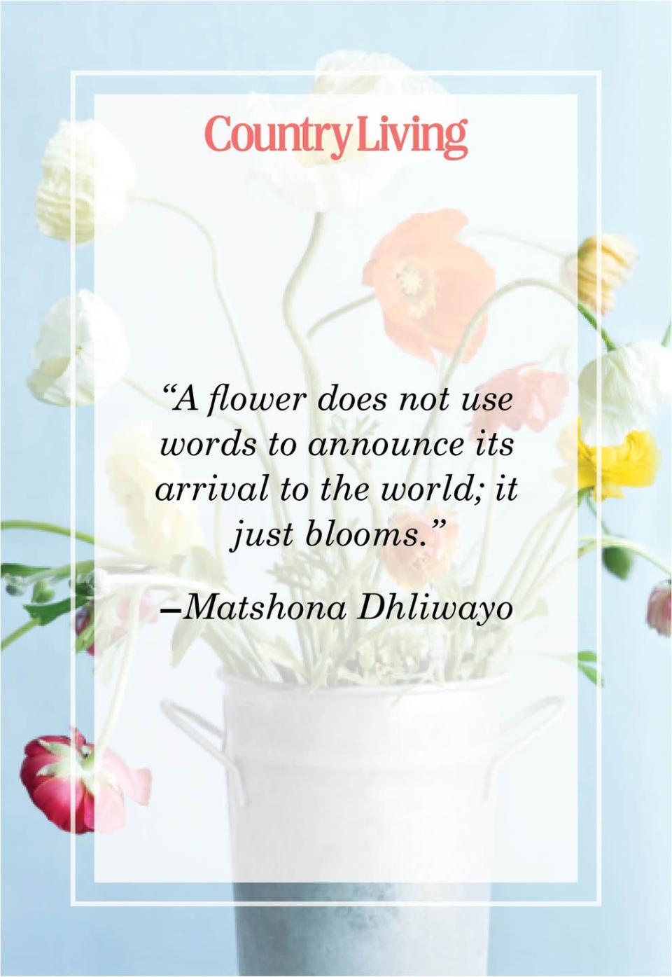 <p>“A flower does not use words to announce its arrival to the world; it just blooms." </p>