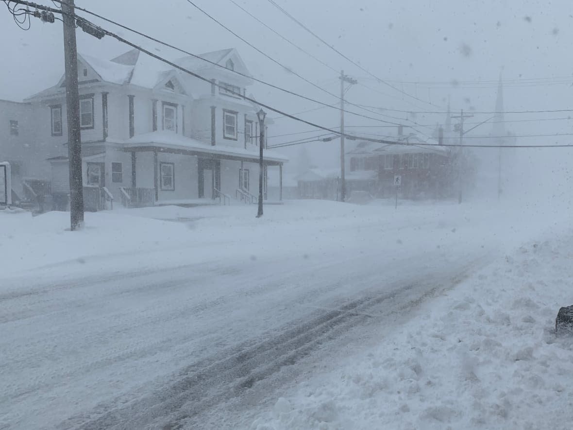 The entire province is under a winter storm warning for Saturday, with a forecast calling for high winds and heavy snowfall. (Gail Harding/CBC - image credit)