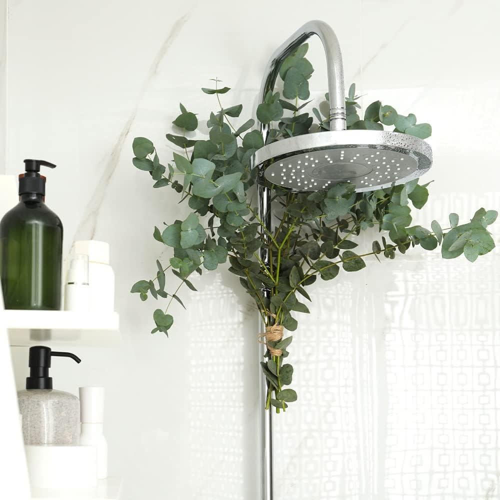 how to make your home smell nice eucalyptus in shower